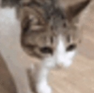 jinx