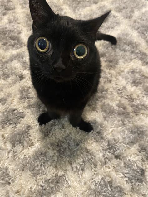 jinx