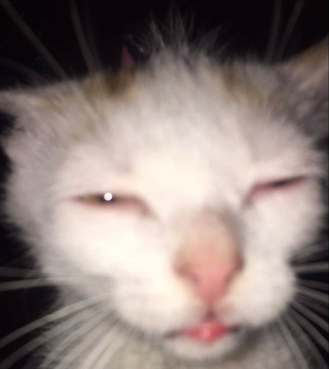 jinx